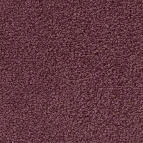 Draufsicht auf Vorwerk Mira 1P98